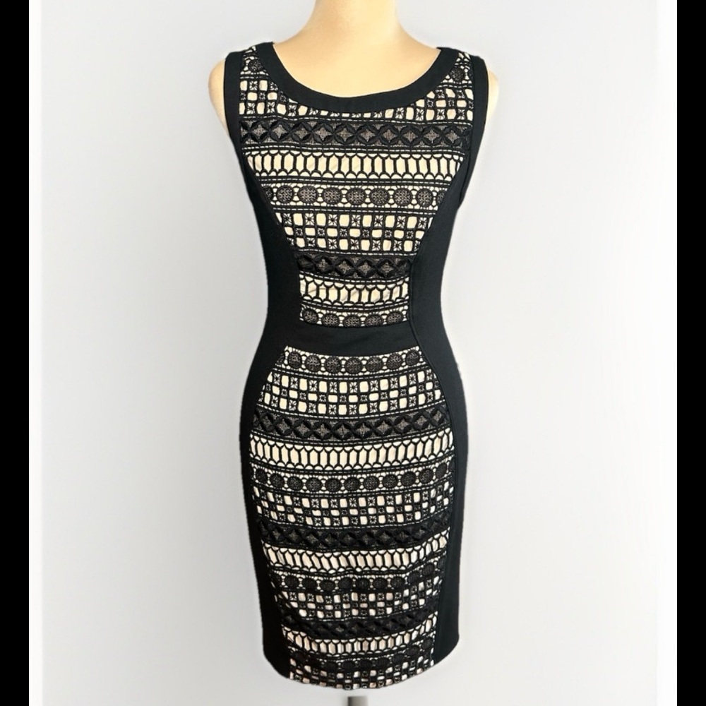 Yoana Baraschi Anthropologie Black Nude Lace Panel Dress Bodycon Formal Size 6
